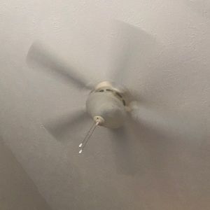 Meet your Posher, Briana